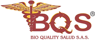 logo_bqs3-2-removebg-preview